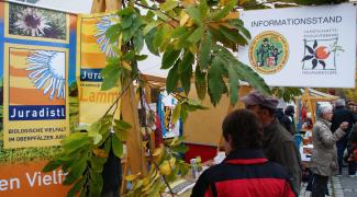 Obstbörse2012